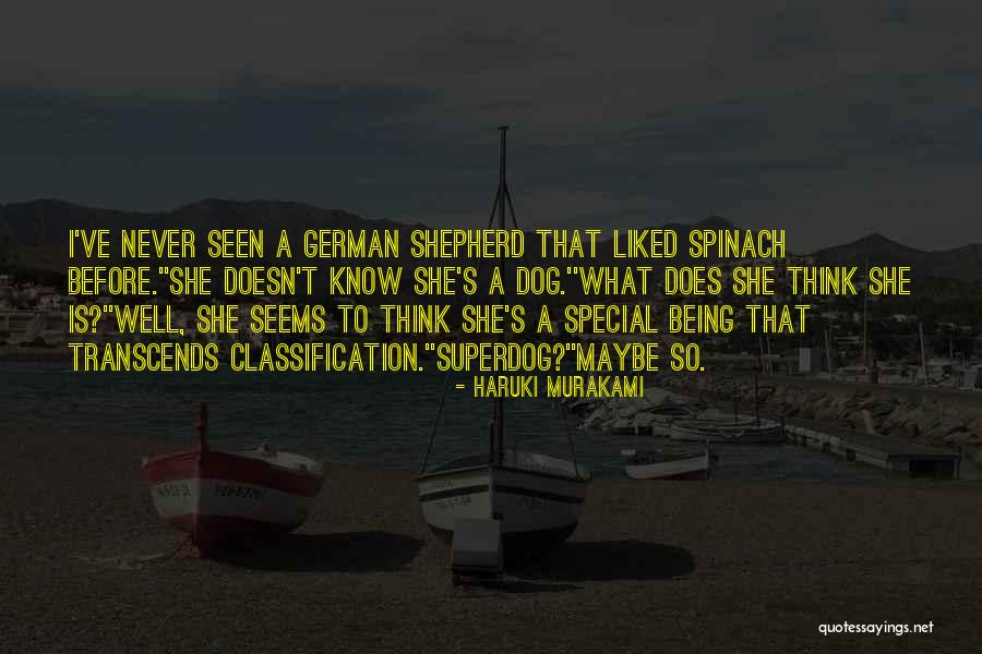 Being A Shepherd Quotes By Haruki Murakami Being A Shepherd Quotes By Haruki Murakami