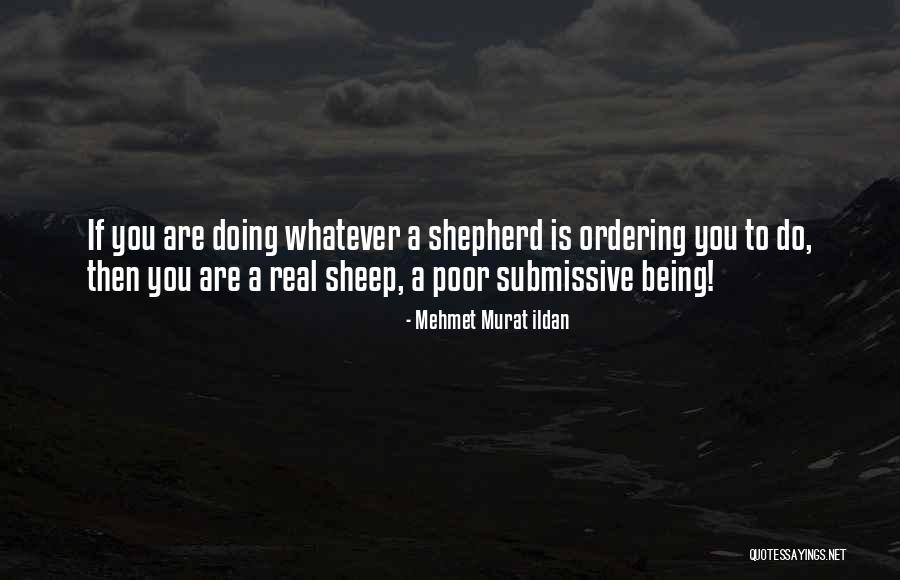 Being A Shepherd Quotes By Mehmet Murat Ildan Being A Shepherd Quotes By Mehmet Murat Ildan