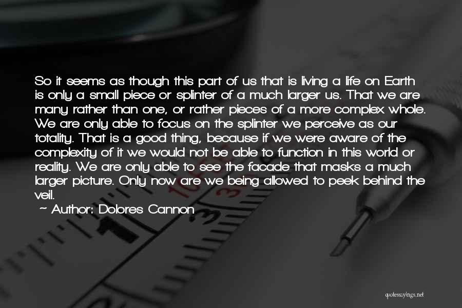 Being A Small Part Of The World Quotes By Dolores Cannon