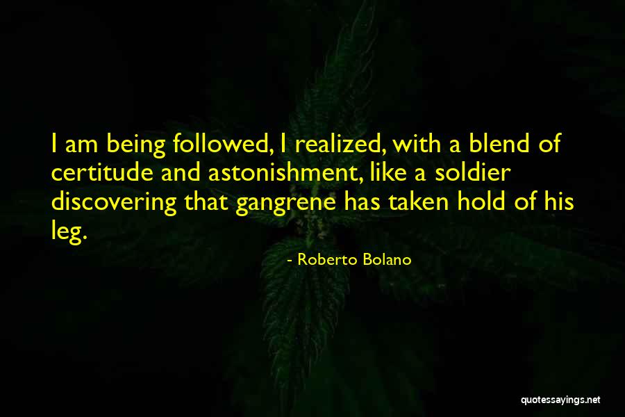 Being A Soldier Quotes By Roberto Bolano Being A Soldier Quotes By Roberto Bolano