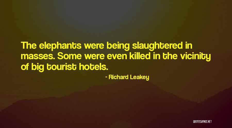 Being A Tourist Quotes By Richard Leakey