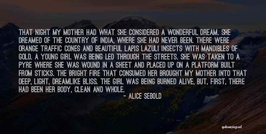 Being A Young Mother Quotes By Alice Sebold