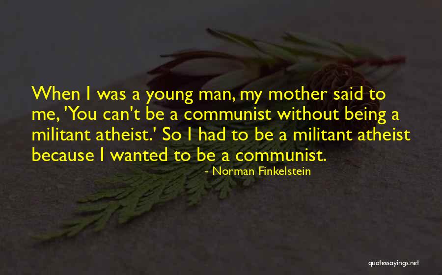 Being A Young Mother Quotes By Norman Finkelstein