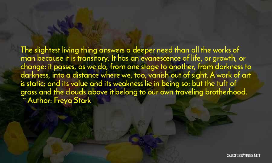 Being Above The Clouds Quotes By Freya Stark