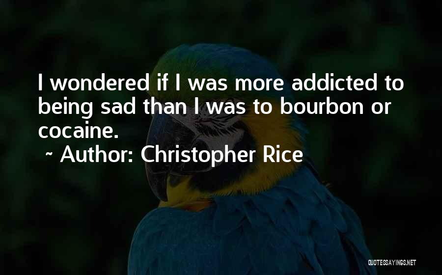 Being Addicted To Something Quotes By Christopher Rice