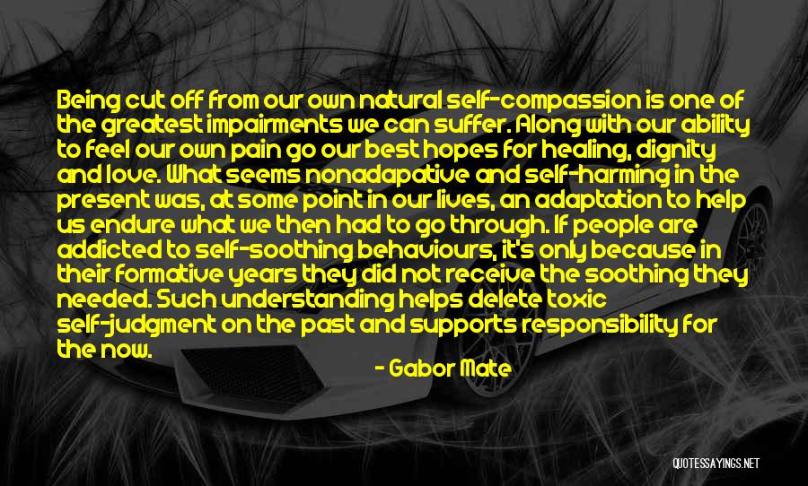 Being Addicted To Something Quotes By Gabor Mate