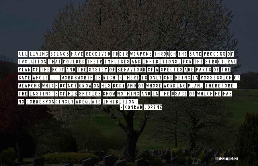 Being Adequate Quotes By Konrad Lorenz Being Adequate Quotes By Konrad Lorenz