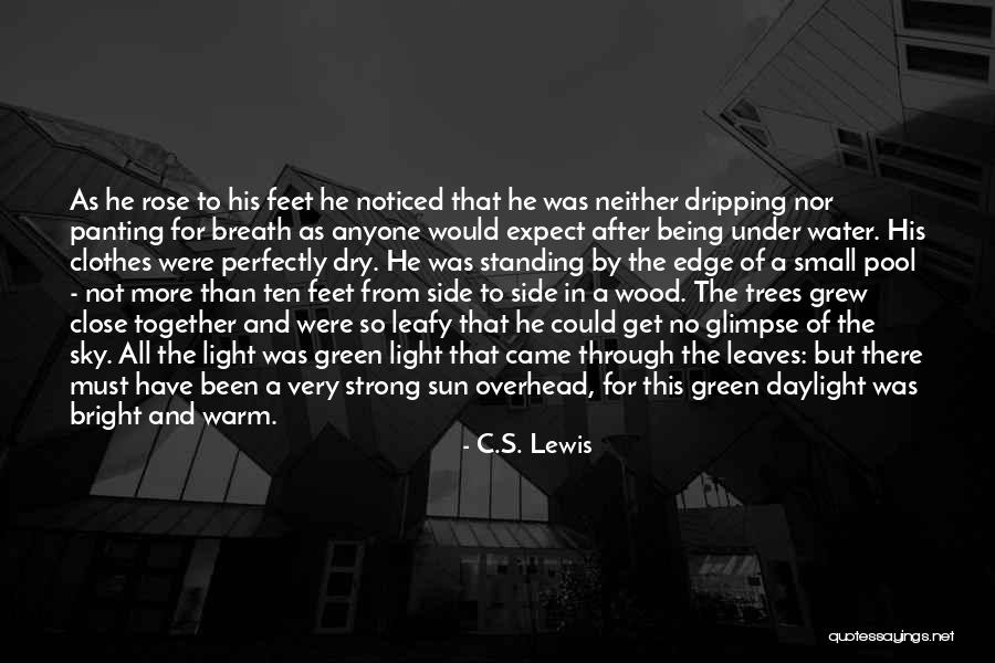 Being Almost Done Quotes By C.S. Lewis Being Almost Done Quotes By C.S. Lewis