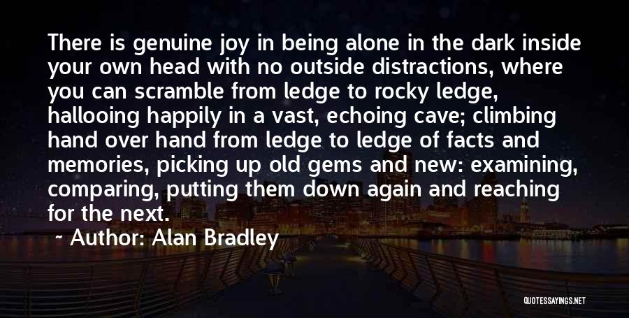 Being Alone In The Dark Quotes By Alan Bradley