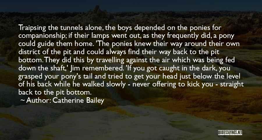 Being Alone In The Dark Quotes By Catherine Bailey