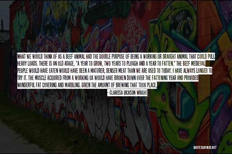 Being An Ex Quotes By Clarissa Dickson Wright Being An Ex Quotes By Clarissa Dickson Wright