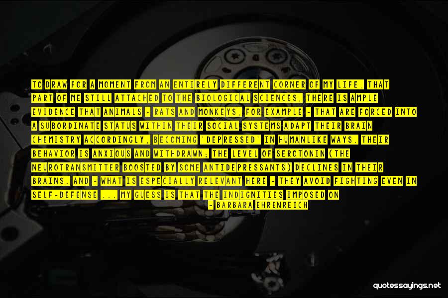 Being An Example Quotes By Barbara Ehrenreich Being An Example Quotes By Barbara Ehrenreich