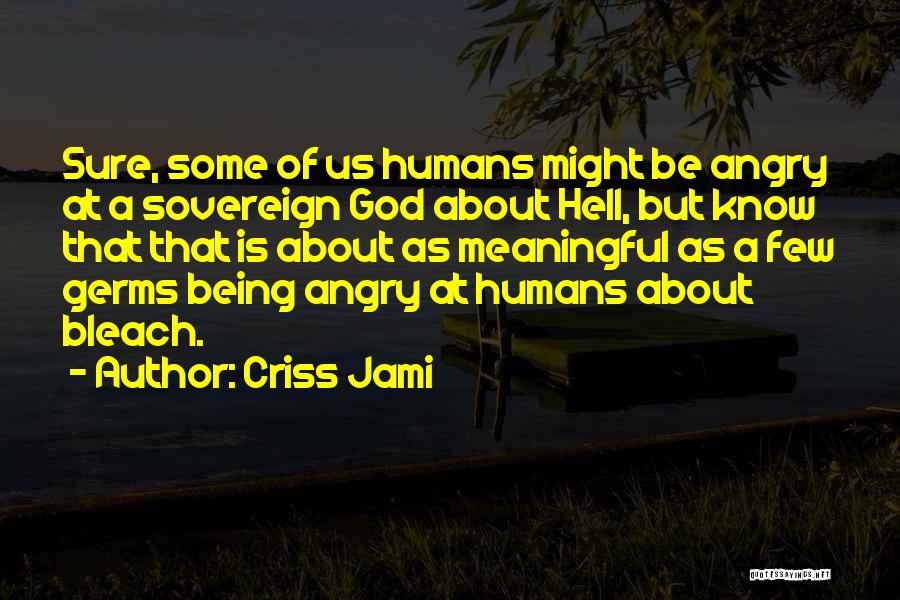 Being Angry With Yourself Quotes By Criss Jami