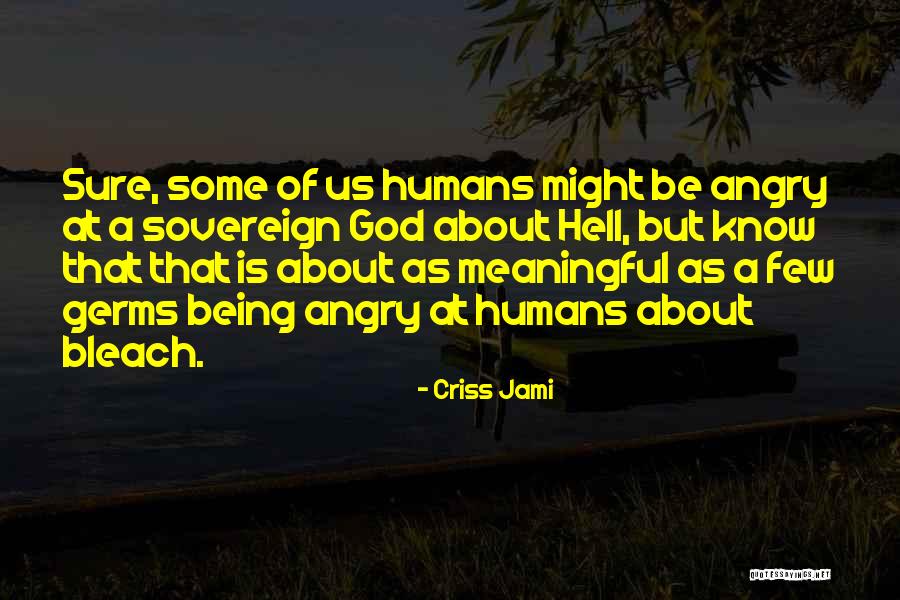 Being Angry With Yourself Quotes By Criss Jami