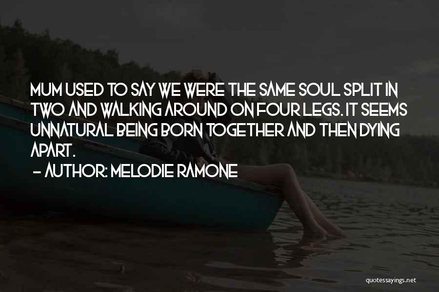 Being Apart Of Someone's Life Quotes By Melodie Ramone