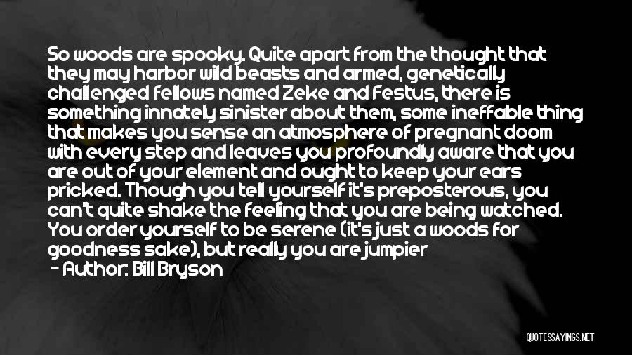 Being Armed Quotes By Bill Bryson
