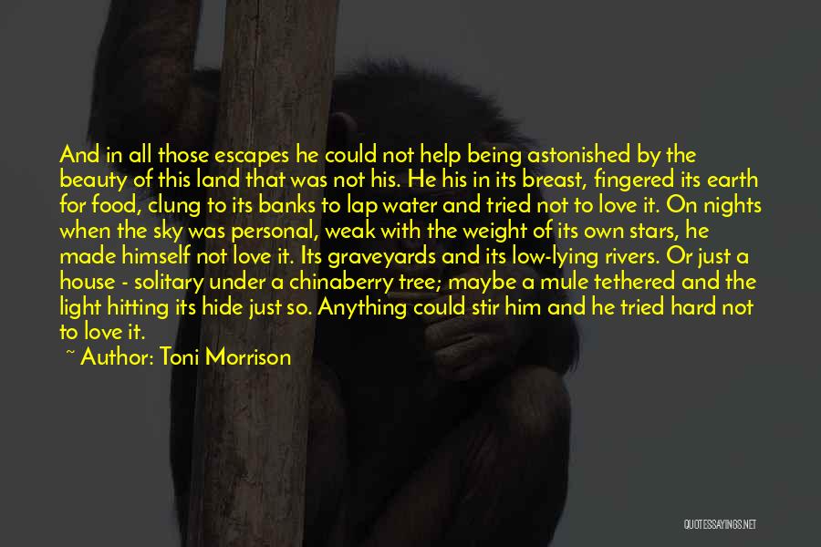 Being Astonished Quotes By Toni Morrison