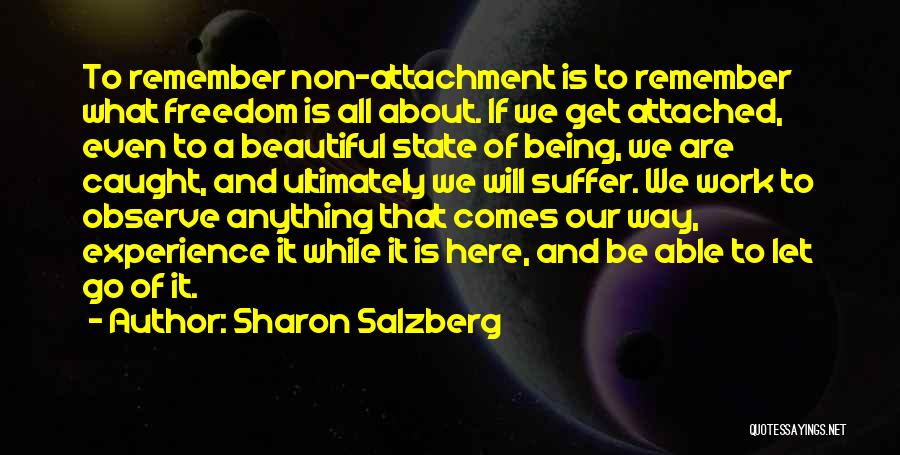 Being Attached To Something Quotes By Sharon Salzberg