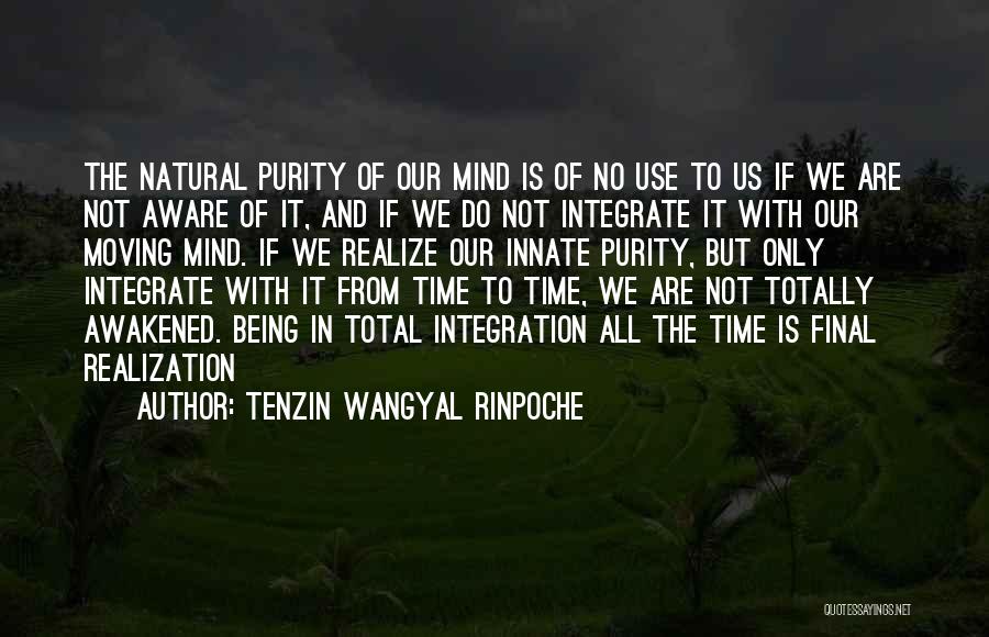 Being Awakened Quotes By Tenzin Wangyal Rinpoche