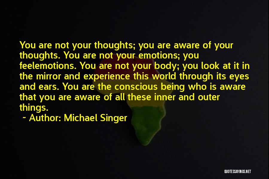 Being Aware Of The World Quotes By Michael Singer