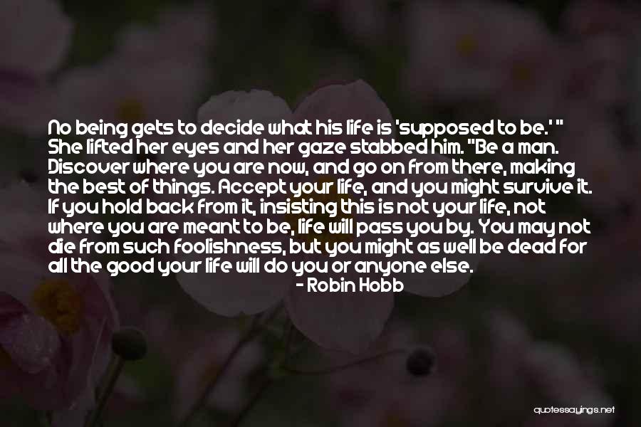 Being Back Stabbed Quotes By Robin Hobb Being Back Stabbed Quotes By Robin Hobb