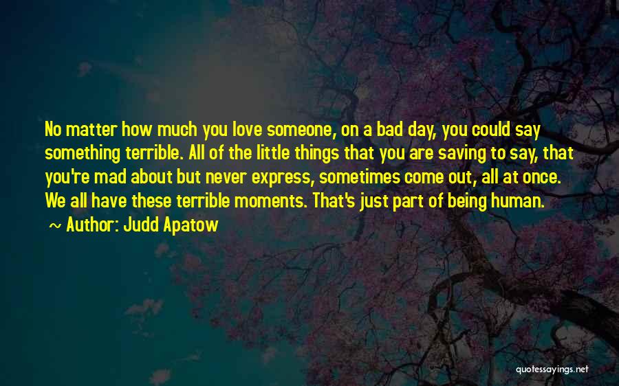 Being Bad Sometimes Quotes By Judd Apatow