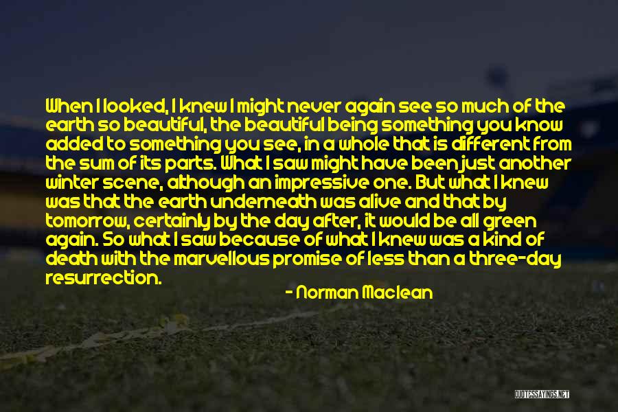 Being Beautiful And Different Quotes By Norman Maclean Being Beautiful And Different Quotes By Norman Maclean