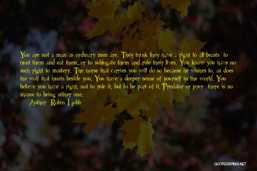 Being Beside You Quotes By Robin Hobb