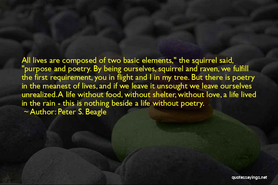 Being Beside Yourself Quotes By Peter S. Beagle