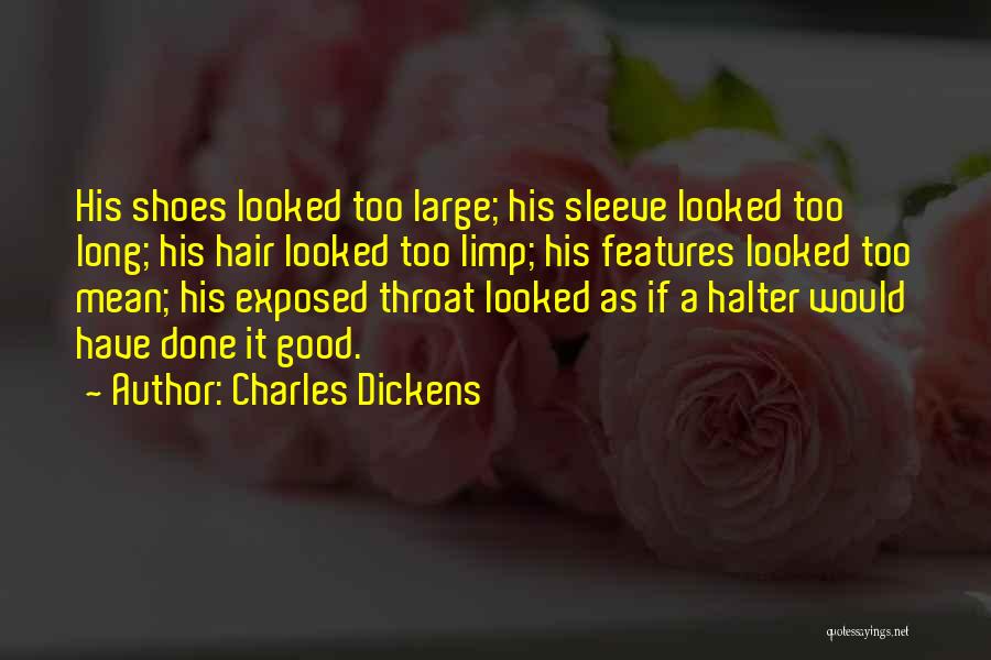 Being Besotted Quotes By Charles Dickens