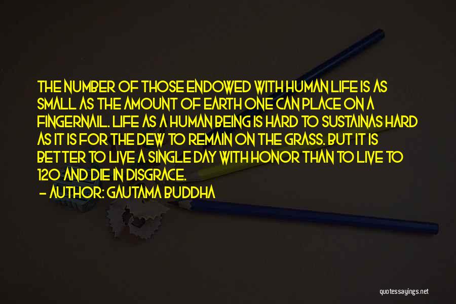 Being Better Off Single Quotes By Gautama Buddha