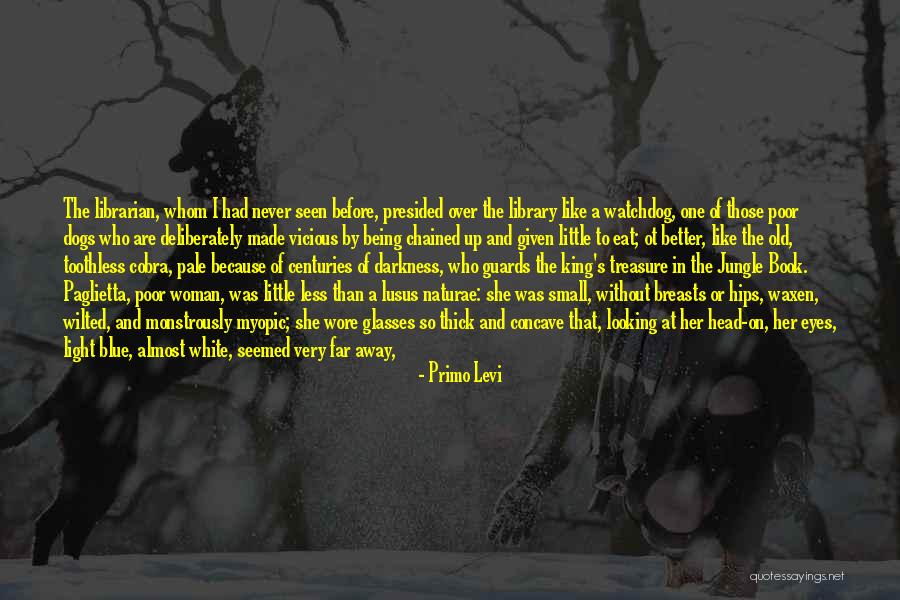 Being Better Than Her Quotes By Primo Levi Being Better Than Her Quotes By Primo Levi