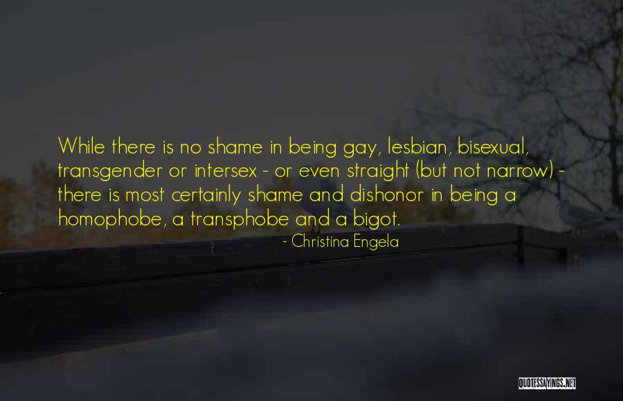 Being Bisexual Quotes By Christina Engela