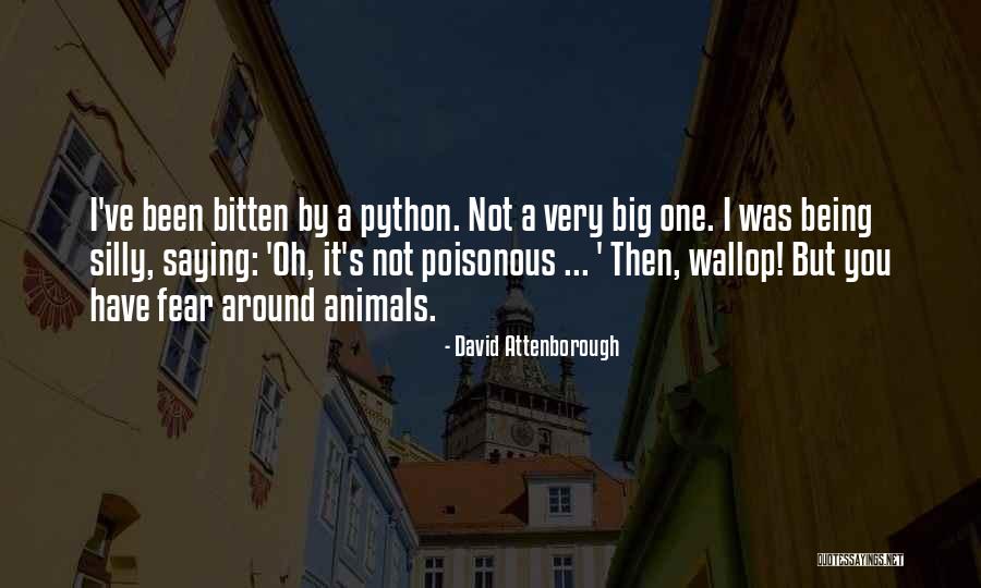 Being Bitten Quotes By David Attenborough Being Bitten Quotes By David Attenborough
