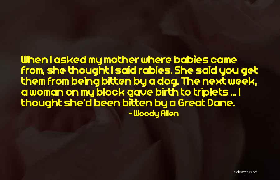 Being Bitten Quotes By Woody Allen Being Bitten Quotes By Woody Allen