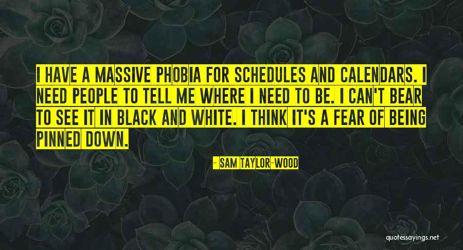 Being Black And White Quotes By Sam Taylor-Wood Being Black And White Quotes By Sam Taylor-Wood