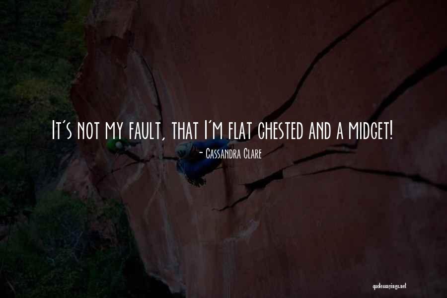 Being Blamed For Something You Didnt Do Quotes By Cassandra Clare