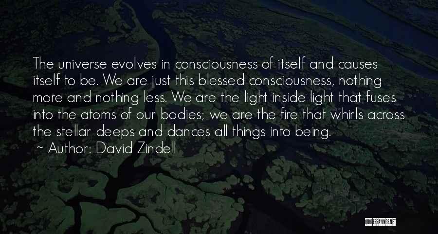 Being Blessed Quotes By David Zindell