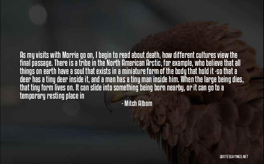 Being Born Into The World Quotes By Mitch Albom Being Born Into The World Quotes By Mitch Albom