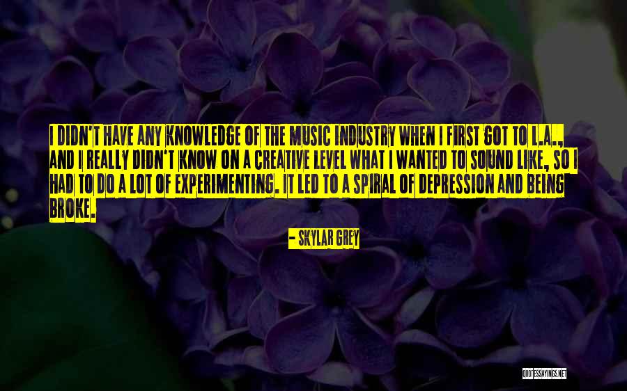 Being Broke Quotes By Skylar Grey Being Broke Quotes By Skylar Grey