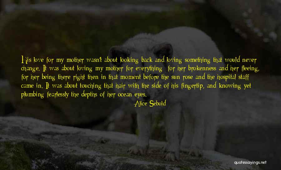 Being Brokenness Quotes By Alice Sebold