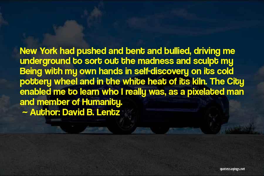 Being Bullied Quotes By David B. Lentz