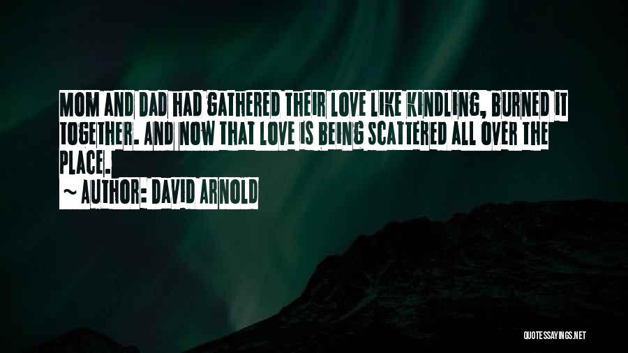 Being Burned By Love Quotes By David Arnold