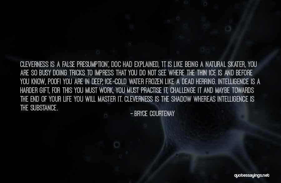Being Busy At Work Quotes By Bryce Courtenay Being Busy At Work Quotes By Bryce Courtenay