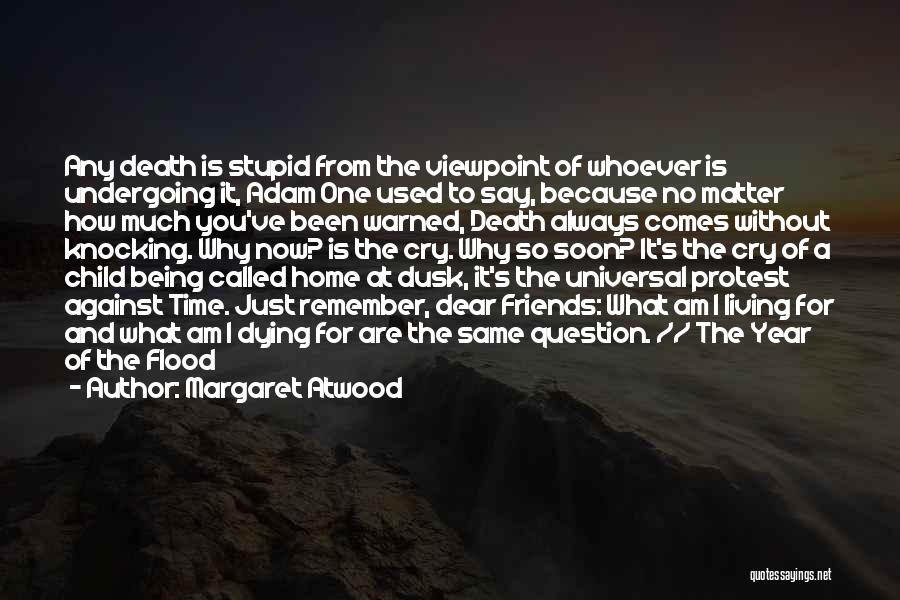 Being Called Stupid Quotes By Margaret Atwood