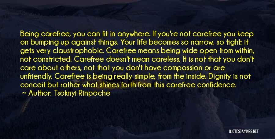 Being Carefree Quotes By Tsoknyi Rinpoche