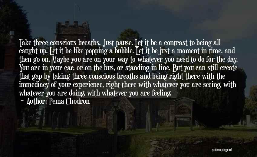 Being Caught In The Moment Quotes By Pema Chodron