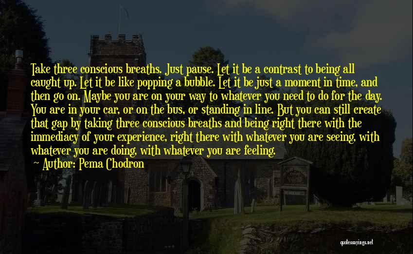 Being Caught Up In The Moment Quotes By Pema Chodron