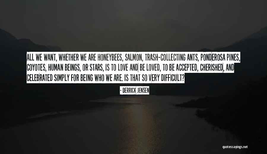 Being Cherished Quotes By Derrick Jensen Being Cherished Quotes By Derrick Jensen