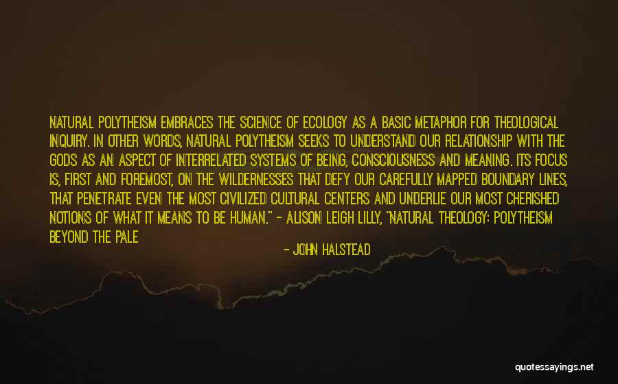 Being Cherished Quotes By John Halstead Being Cherished Quotes By John Halstead